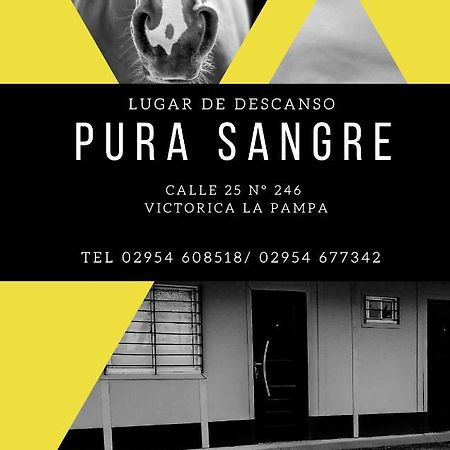 Pura Sangre Bed & Breakfast Victorica Luaran gambar