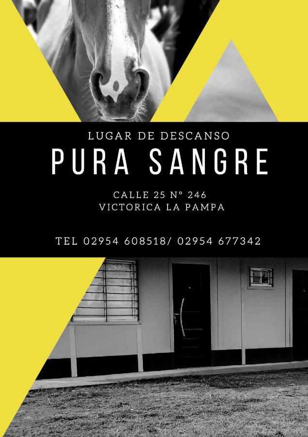 Pura Sangre Bed & Breakfast Victorica Luaran gambar