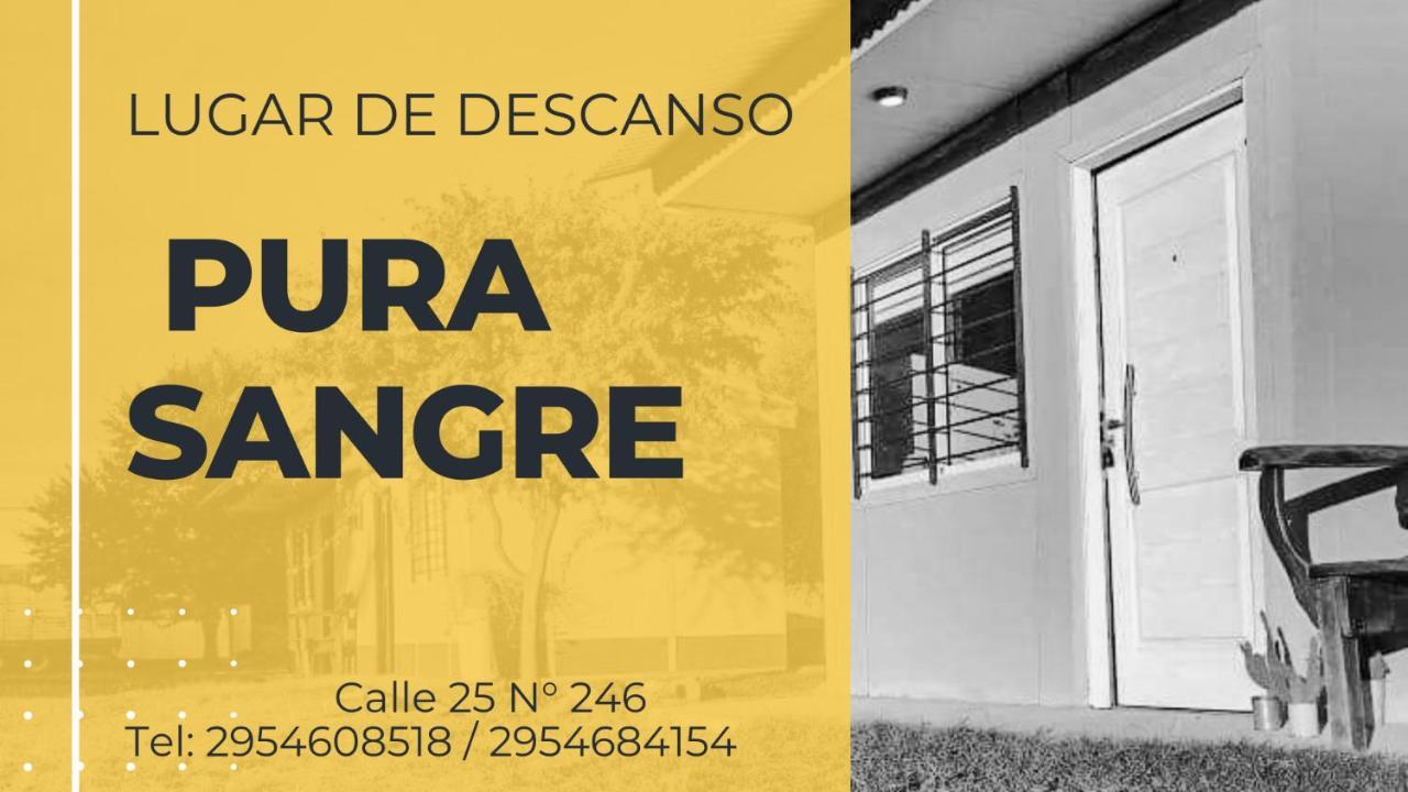 Pura Sangre Bed & Breakfast Victorica Luaran gambar