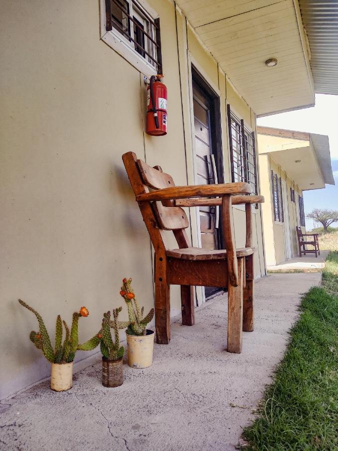 Pura Sangre Bed & Breakfast Victorica Luaran gambar