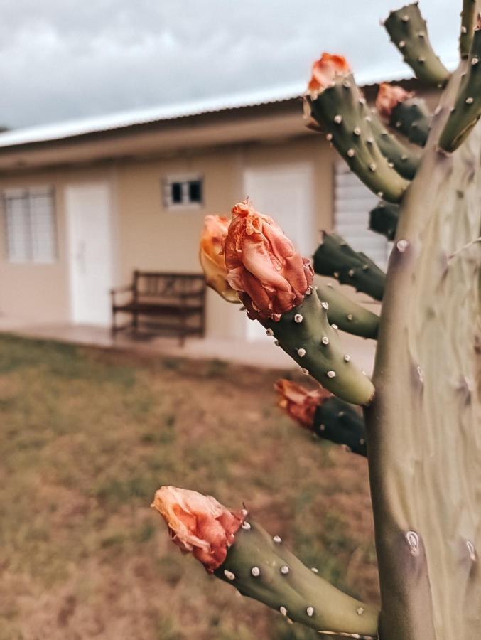 Pura Sangre Bed & Breakfast Victorica Luaran gambar