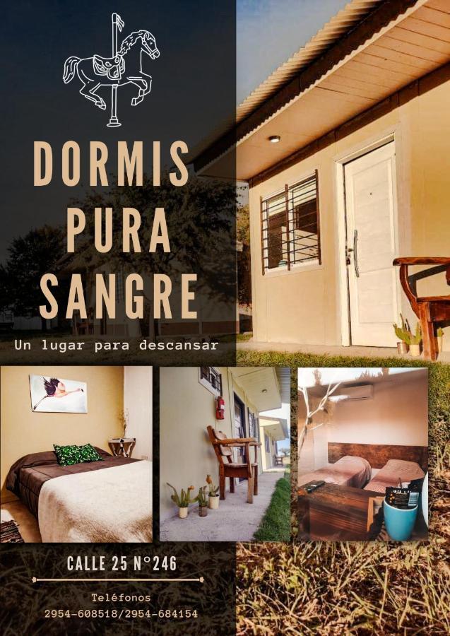 Pura Sangre Bed & Breakfast Victorica Luaran gambar